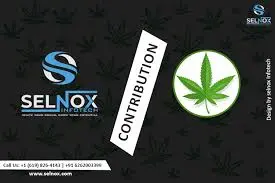 Selnox Infotech Pvt. Ltd.